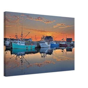 110f3ac3-fa10-44c2-a904-1e50f7d6e924