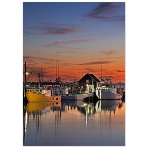 6e200e59-85ab-40aa-a359-97619d5c4fc2