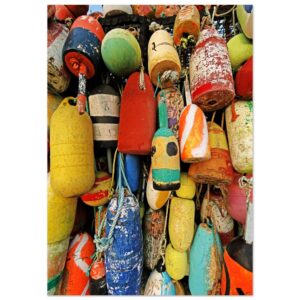 c658a3b9-9a34-45c5-80de-d748bad0a1d6