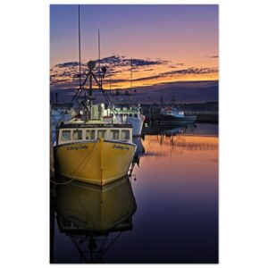 c99e1bae-014e-4a36-8aa5-df0be936410c